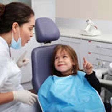 Dentists in Queensland